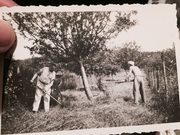 I think I saw this orchard in the basement  #MadeleineprojectEN https://t.co/5rOoOMM79p